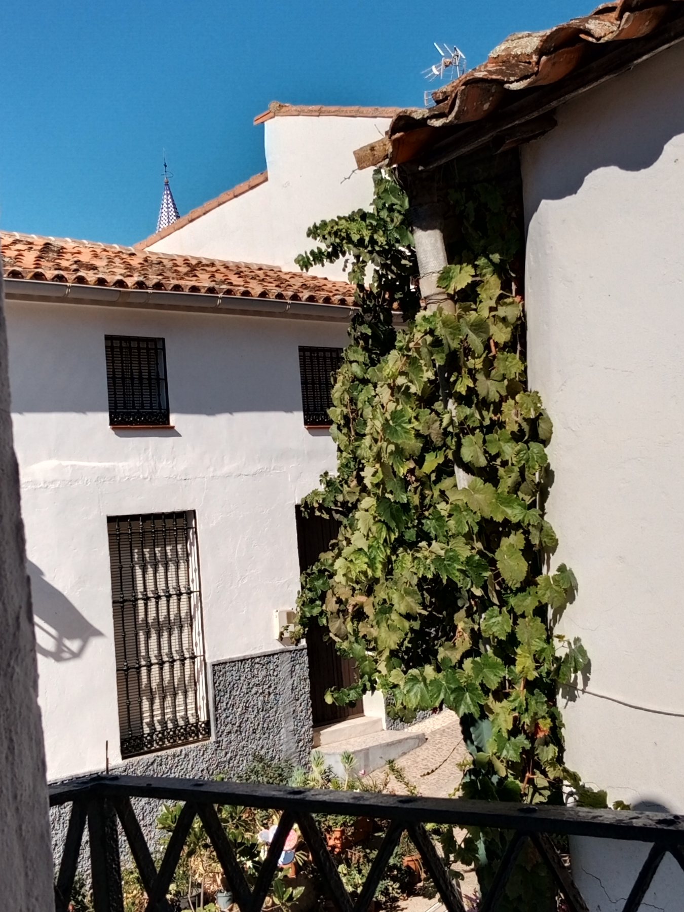 Vistas desde el balcón de la casa